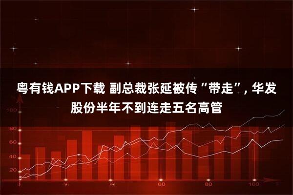 粤有钱APP下载 副总裁张延被传“带走”, 华发股份半年不到连走五名高管