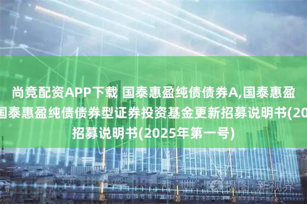尚竞配资APP下载 国泰惠盈纯债债券A,国泰惠盈纯债债券C: 国泰惠盈纯债债券型证券投资基金更新招募说明书(2025年第一号)