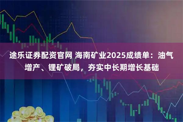 途乐证券配资官网 海南矿业2025成绩单：油气增产、锂矿破局，夯实中长期增长基础